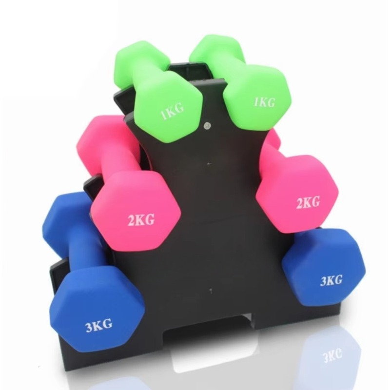 3-Tier  Dumbbell Storage Rack  - Home Gym Usa 리뷰 및 가격