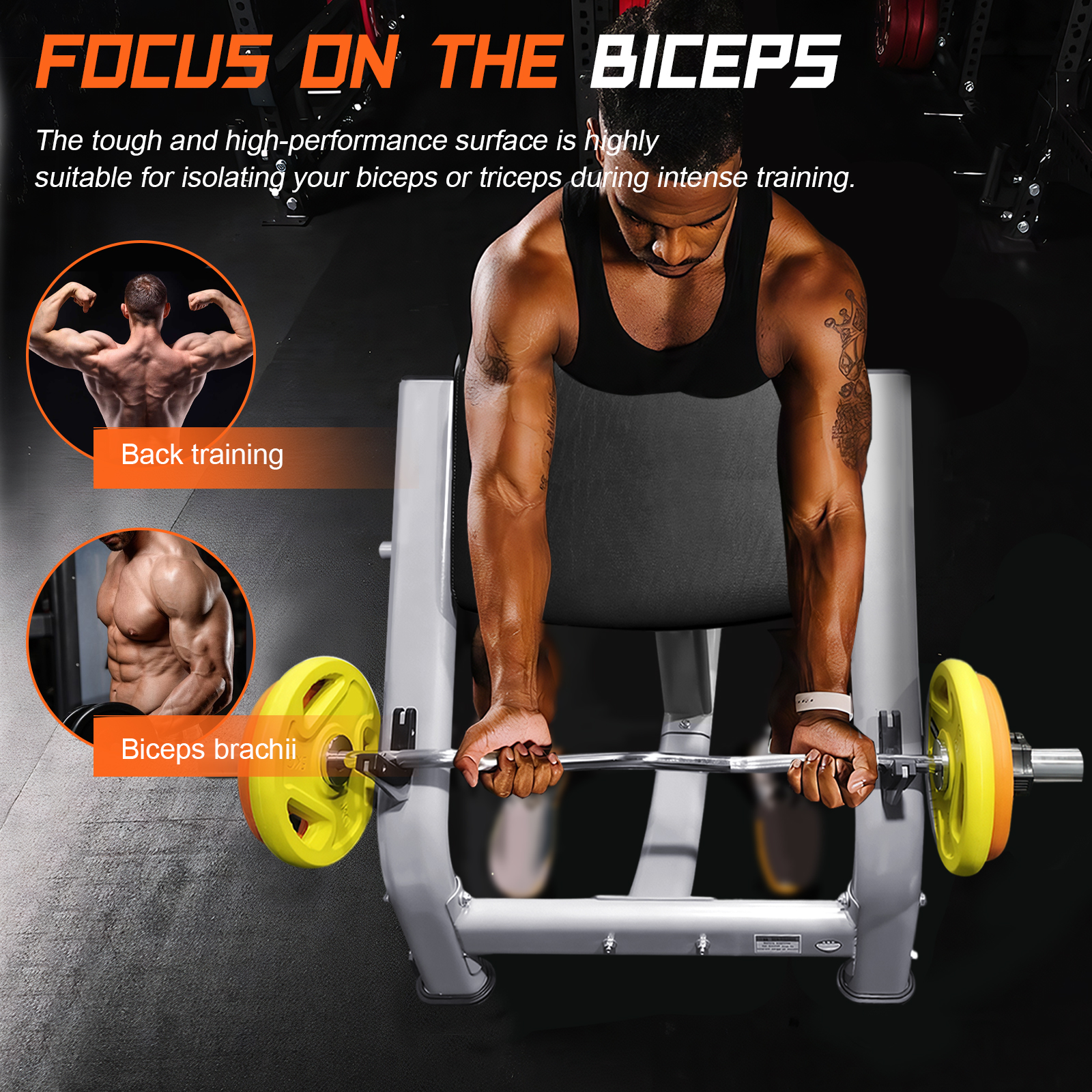 Adjustable Preacher Curl Bench - Home Gym Dumbbell Workout 리뷰 및 가격