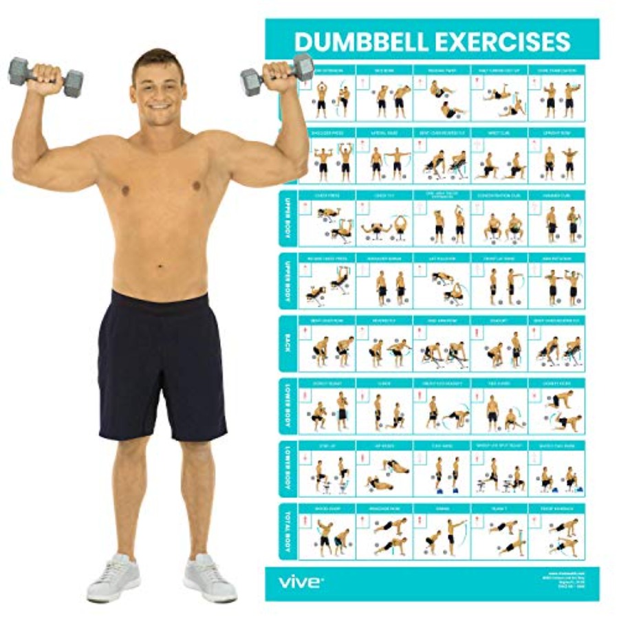 Dumbbell Workout Poster - Home - Home Gym Dumbbell Workout 리뷰 및 가격