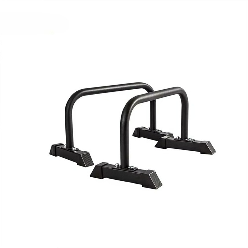 Heavy-Duty Dip Station Stable  - Dip Station Parallel 리뷰 및 가격