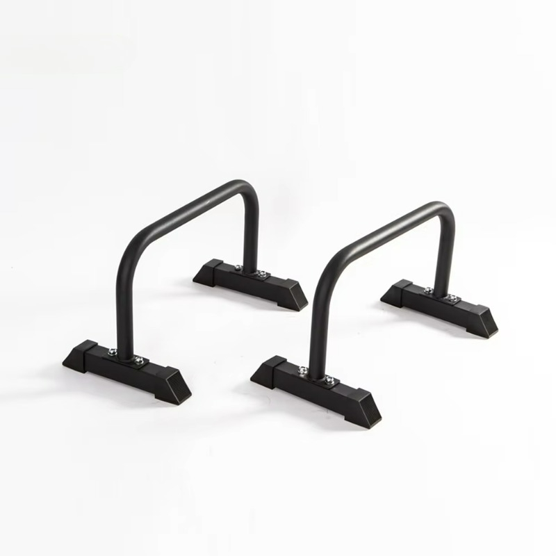 Heavy-Duty Dip Station Stable  - Dip Station Parallel 리뷰 및 가격