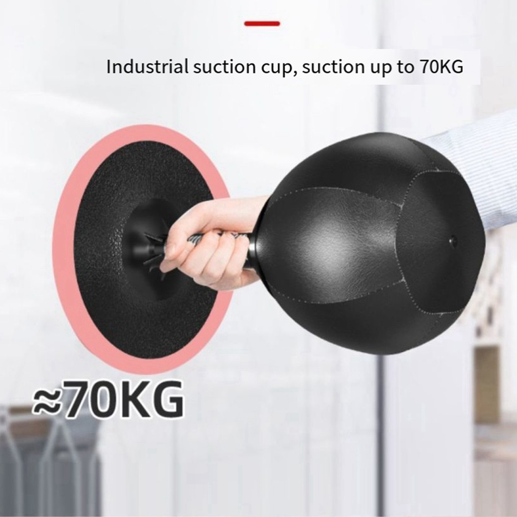 AINY-2X Desktop Boxing Punchin - Speed Bag Boxing 리뷰 및 가격