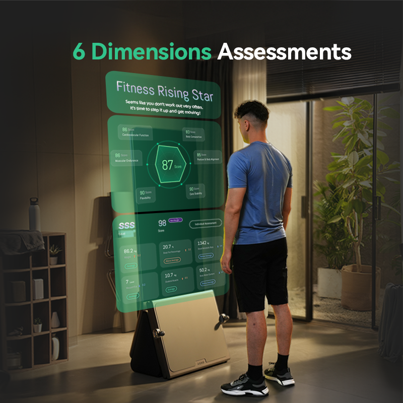Ai Smart Fitness Mirrors Luxur - Home Gym Luxury 리뷰 및 가격