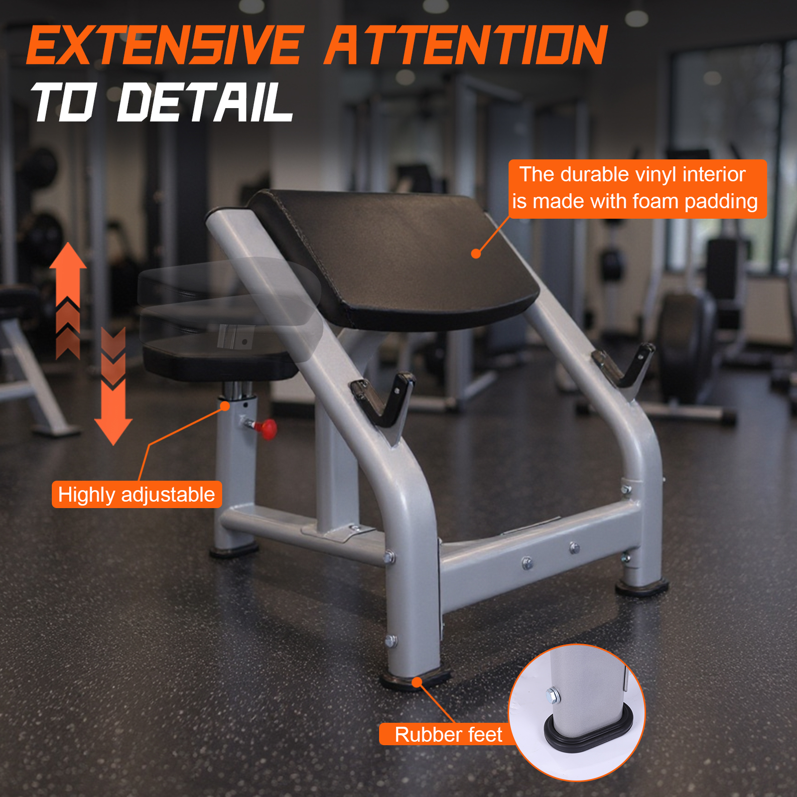 Seated Isolated Barbell Dumbbe - Home Gym Dumbbell Workout 리뷰 및 가격