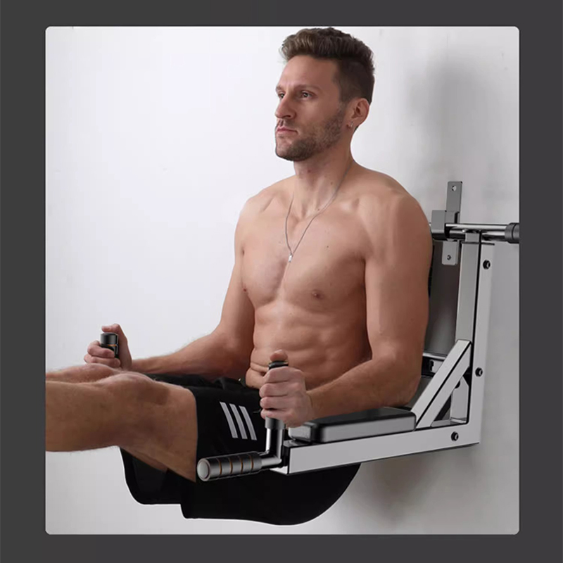 Wall Mounted Pull Up Bar, Heav - Home Gym Luxury 리뷰 및 가격