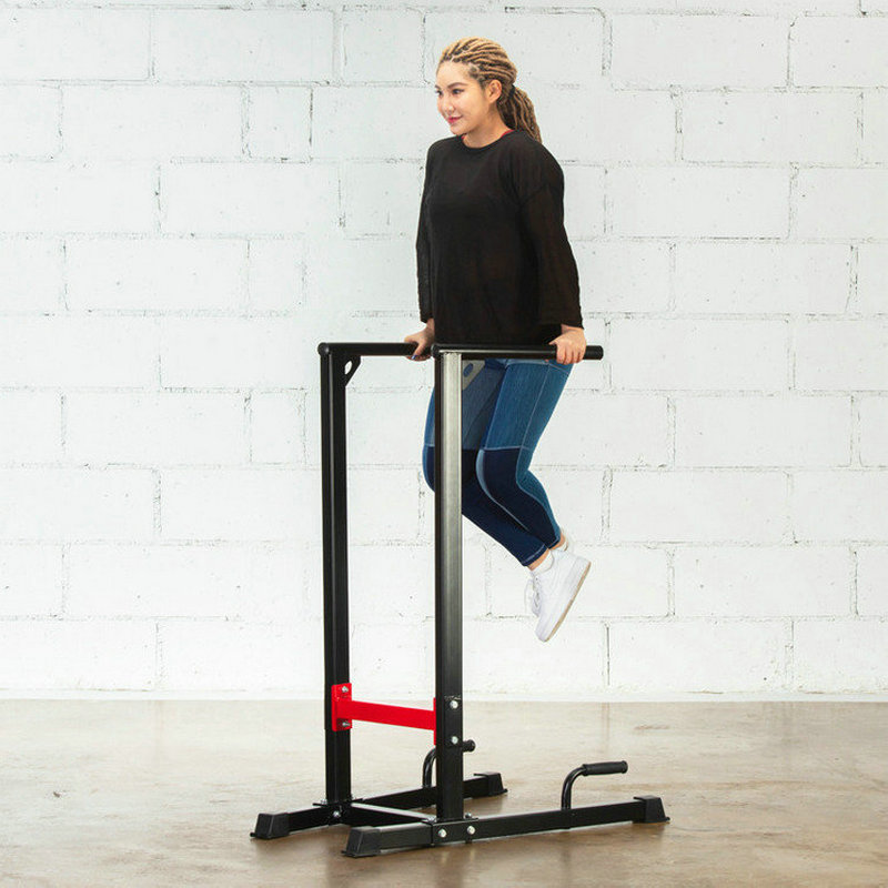 Multi-Function Dip Stand Stati - Dip Station Parallel 리뷰 및 가격