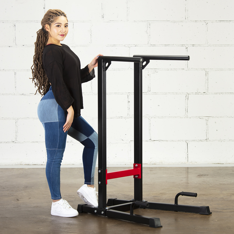 Multi-Function Dip Stand Stati - Dip Station Parallel 리뷰 및 가격