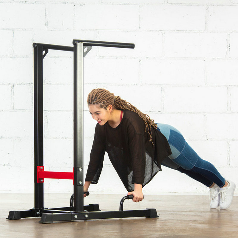 Multi-Function Dip Stand Stati - Dip Station Parallel 리뷰 및 가격