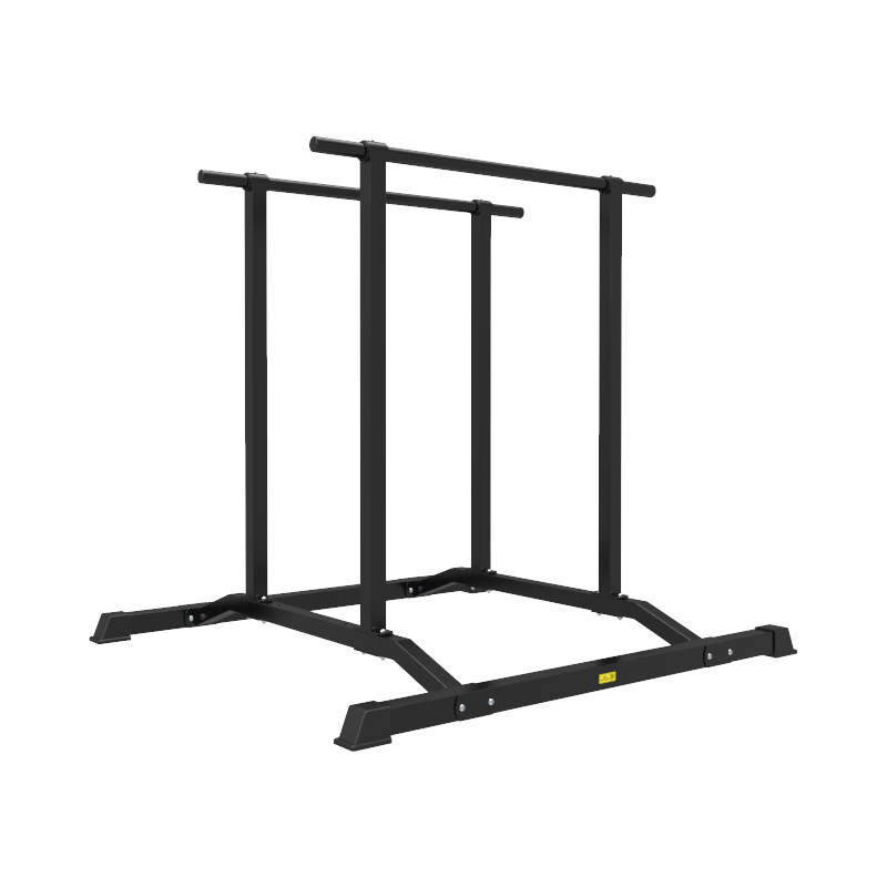 Functional Dip Station Paralle - Dip Station Parallel 리뷰 및 가격
