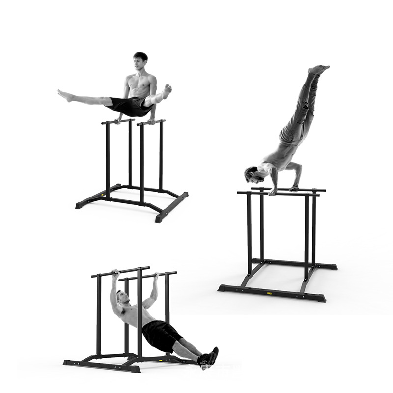 Functional Dip Station Paralle - Dip Station Parallel 리뷰 및 가격