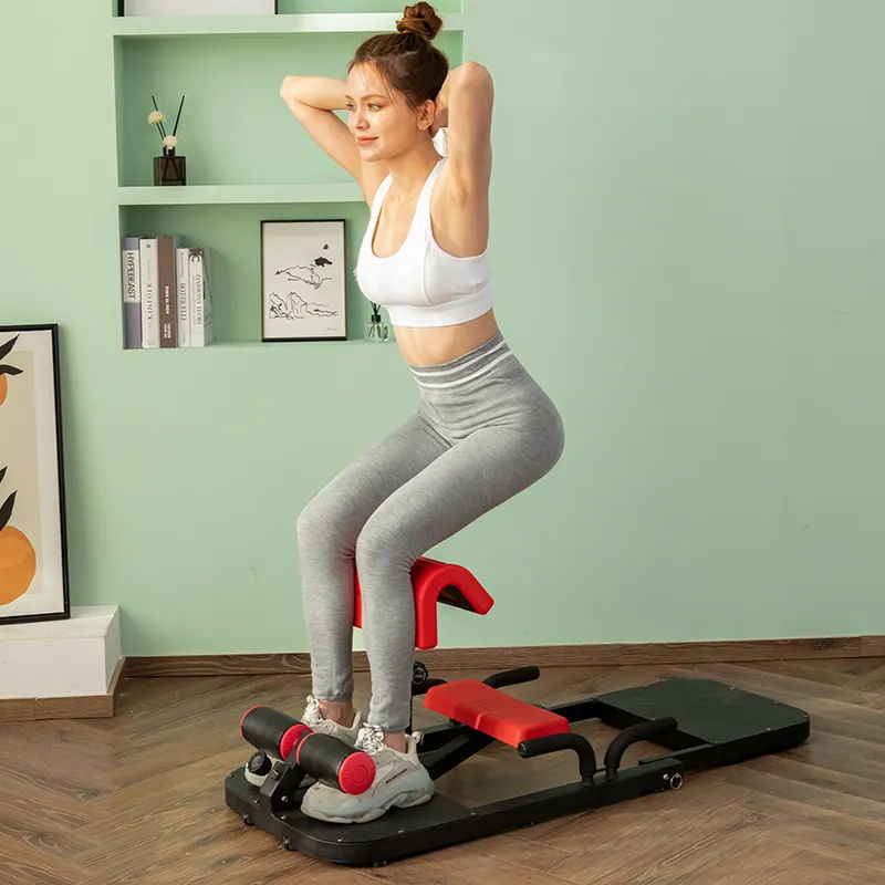 Dinuo Wholesale Custom Gym Hom - Home Gym Hip Thrust Machine 리뷰 및 가격
