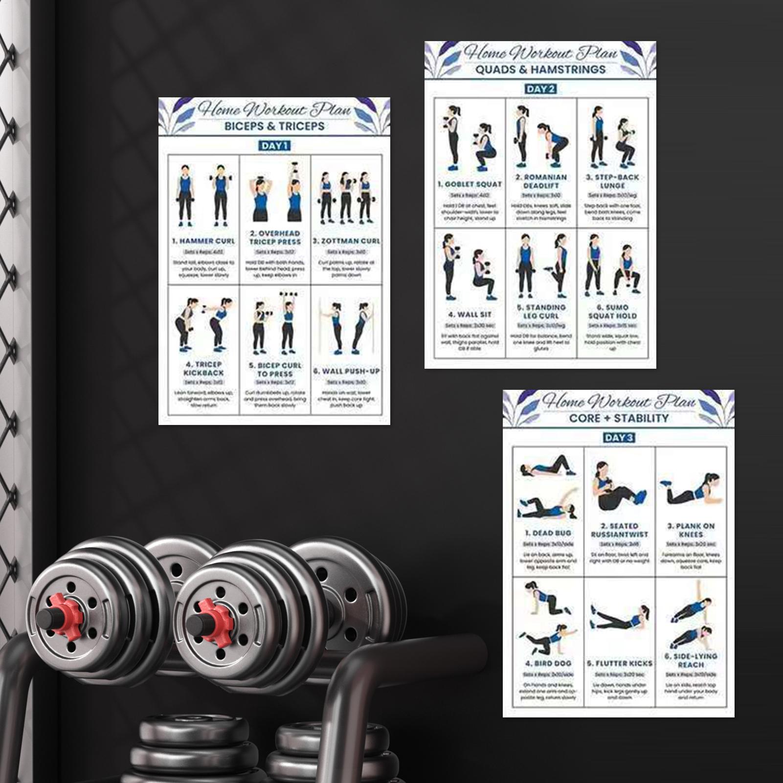 6pcs Yoga Dumbbell Stretching  - Home Gym Dumbbell Workout 리뷰 및 가격